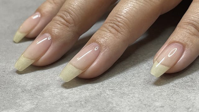 このレッスンについて