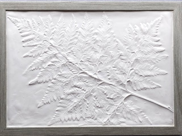 ボタニカルプラスター・シダの石膏レリーフの作り方