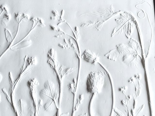 ボタニカルプラスターのご紹介