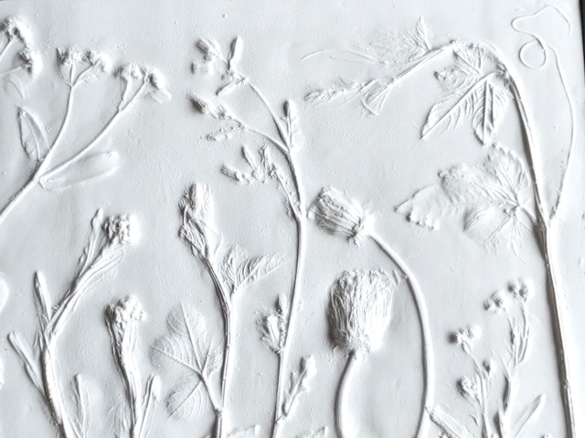 ボタニカルプラスターのご紹介