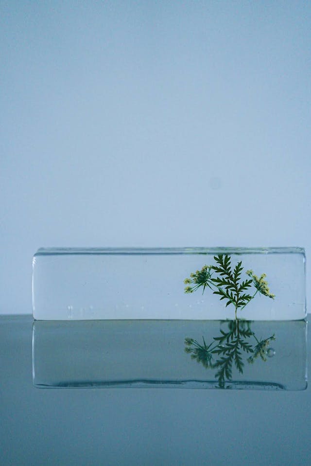 このレッスンについて