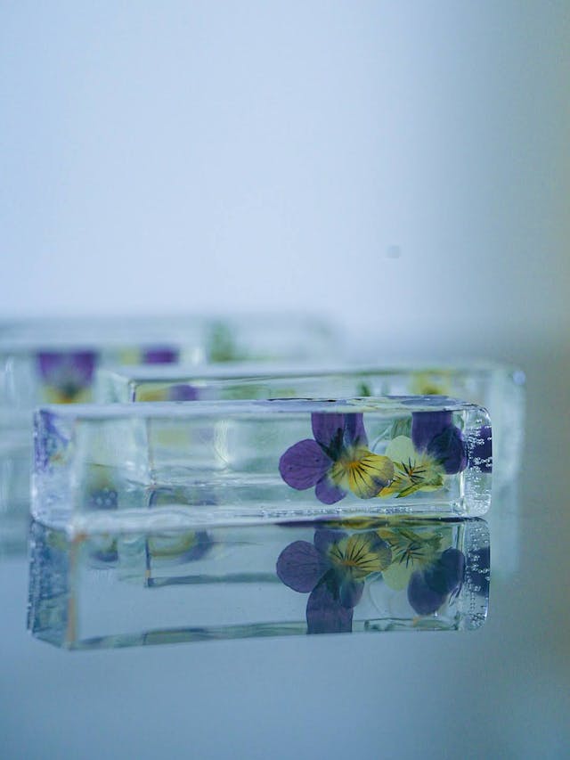 おすすめポイント