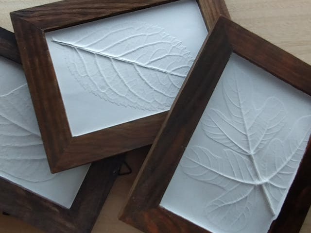 はじめてのボタニカルプラスター体験レッスン