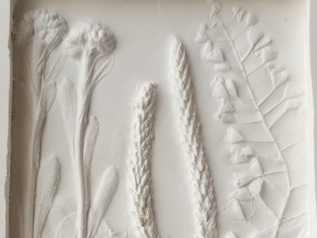 ボタニカルプラスターのご紹介