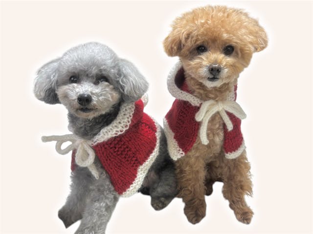 棒針で編む 愛犬のためのサンタケープの編み方【PDF付き】