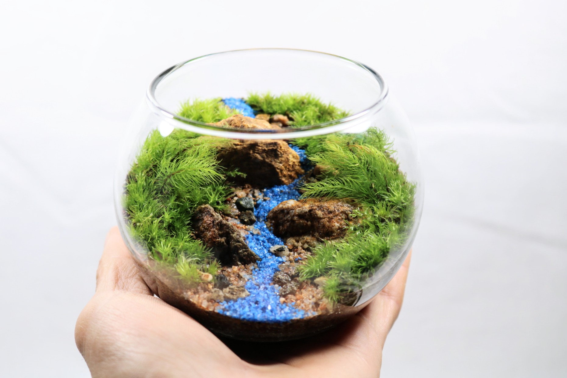 初めての苔テラリウム作り