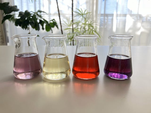 このレッスンについて