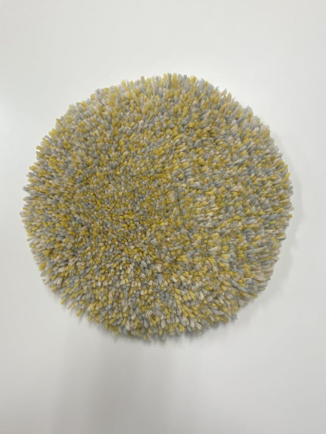 このレッスンについて