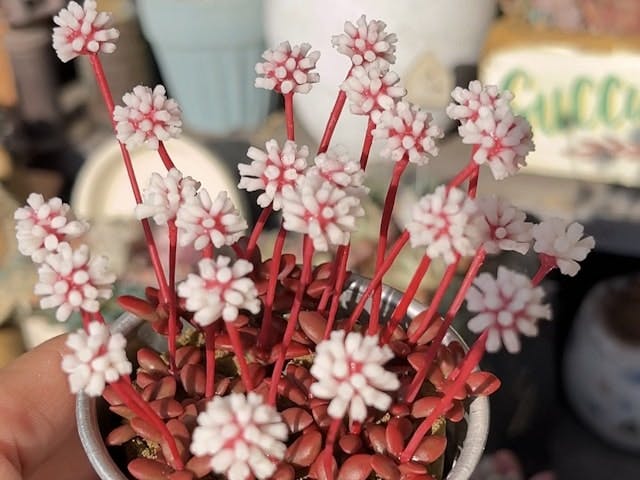 このレッスンについて