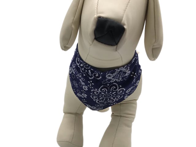 このレッスンについて