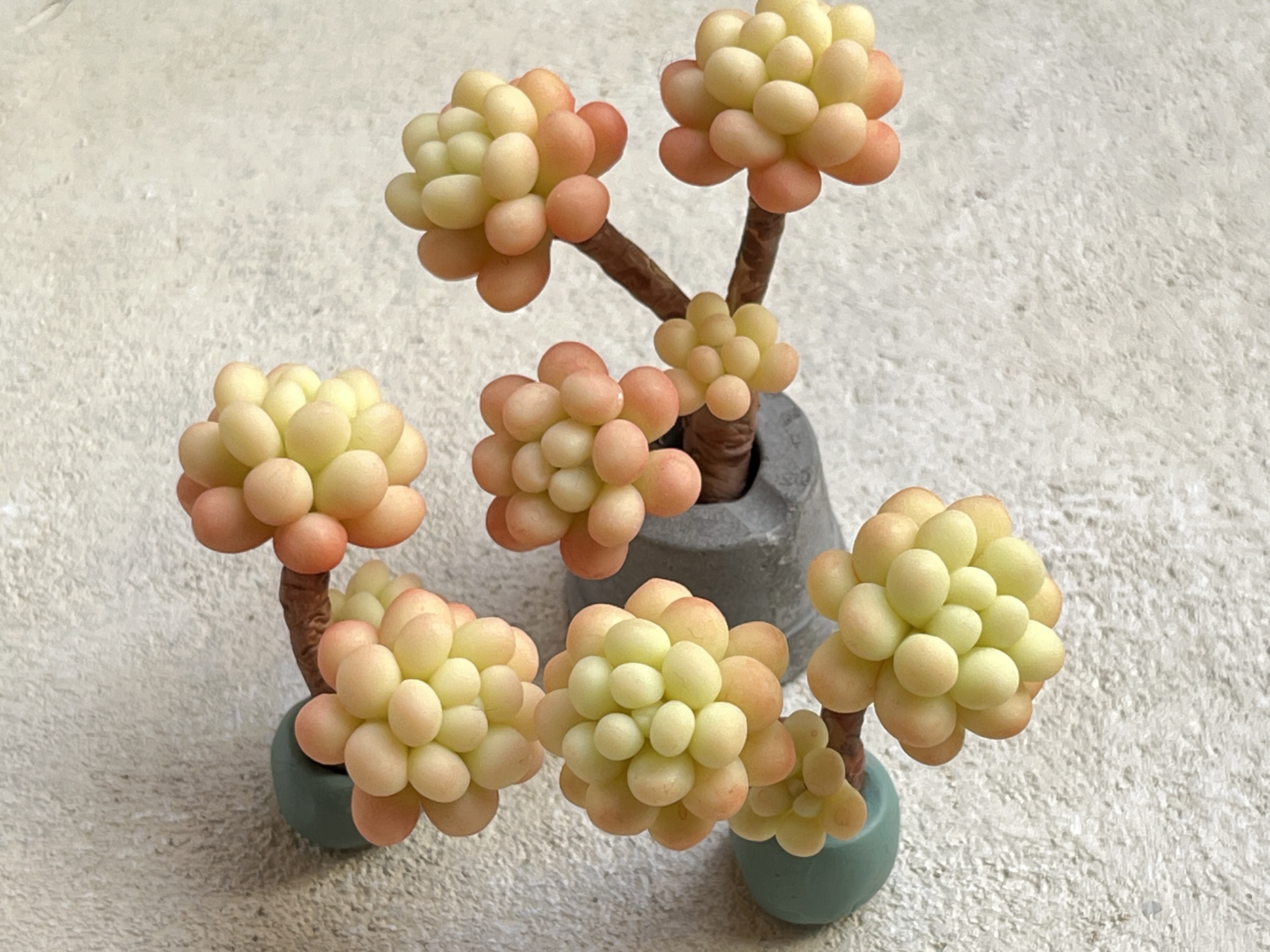 初級編16 キャビアの作り方