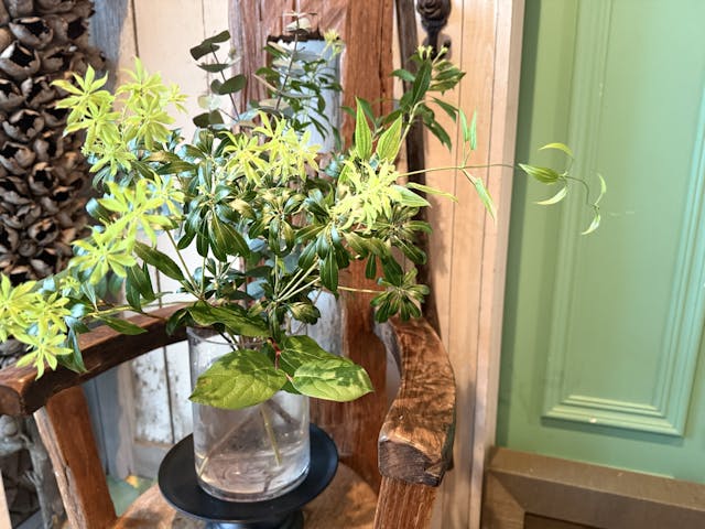 おすすめポイント