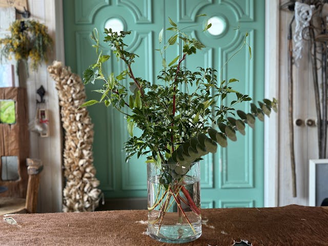 枝物の花瓶の飾り方（自宅でも出来る簡単！）