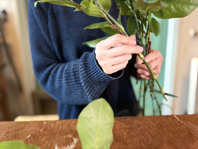 このレッスンについて