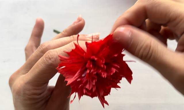 このレッスンについて