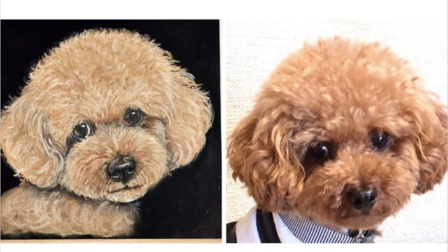  チョークアートでプードルを描こう！(基礎編)