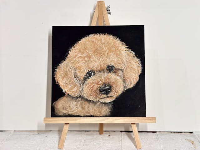 チョークアートでペットの似顔絵を描こう【プードル基礎編(レッド)】