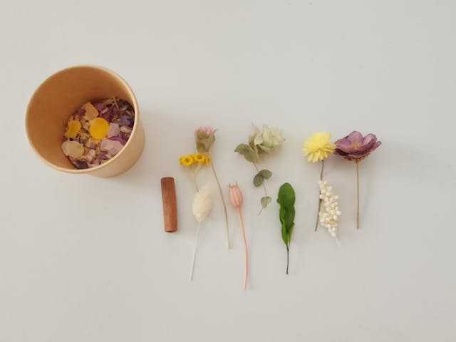 このレッスンについて