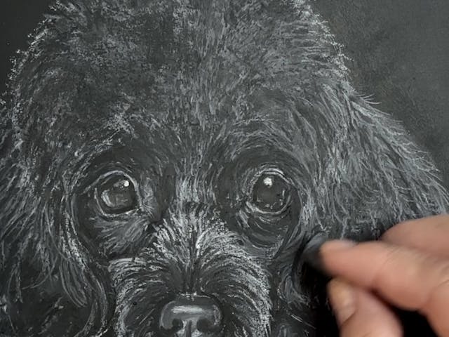 おすすめポイント