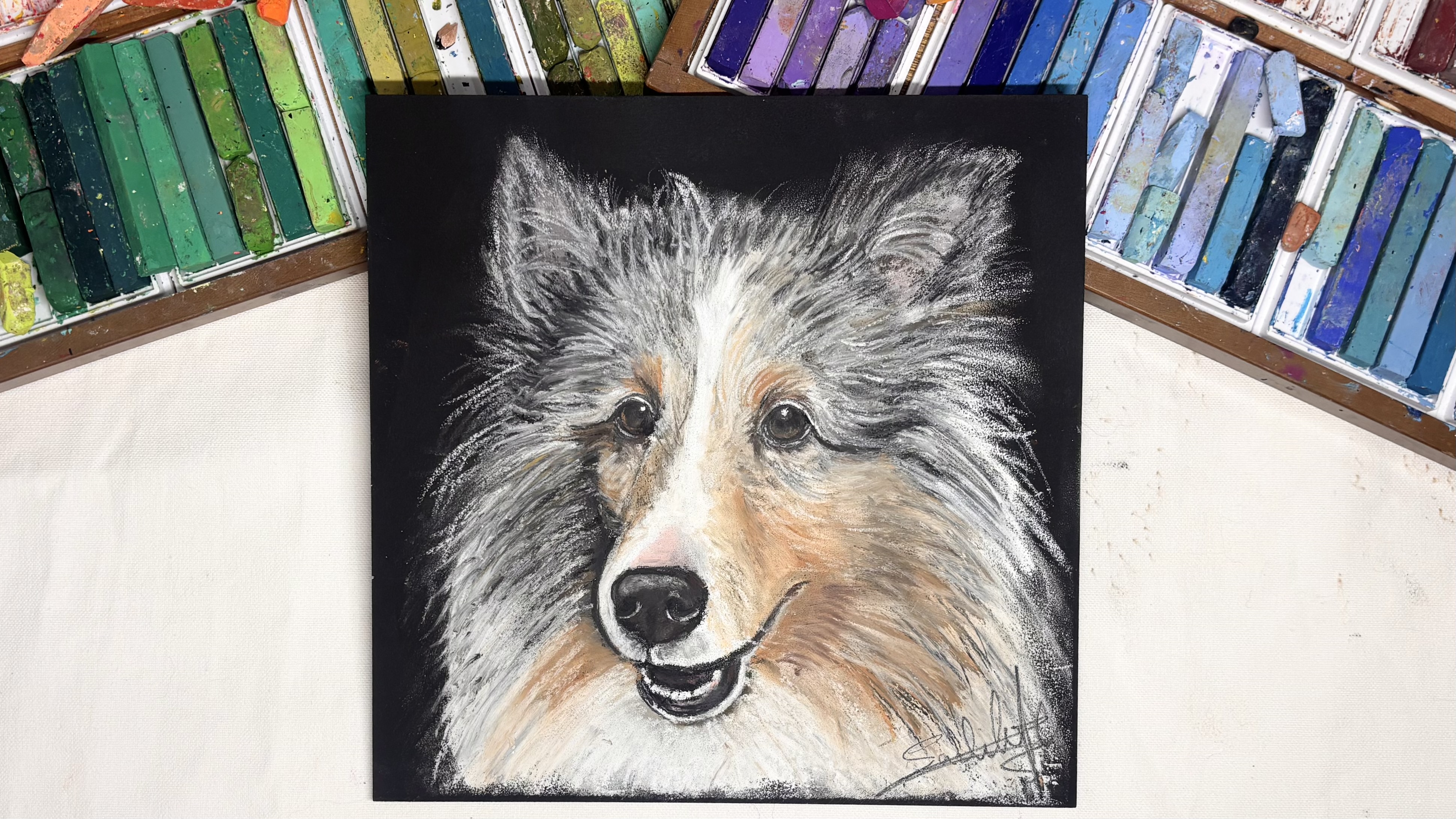 チョークアートでペットの似顔絵を描こう【シェルティ編】