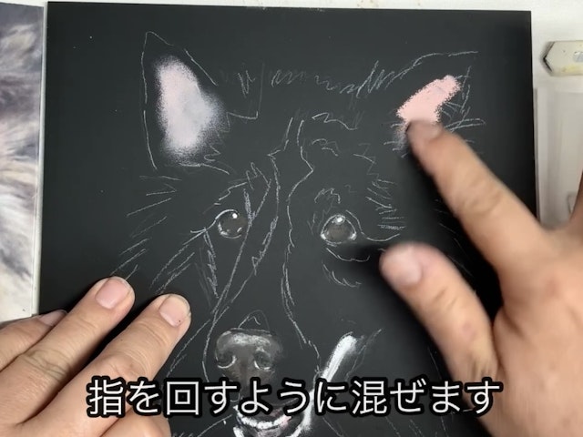学べること