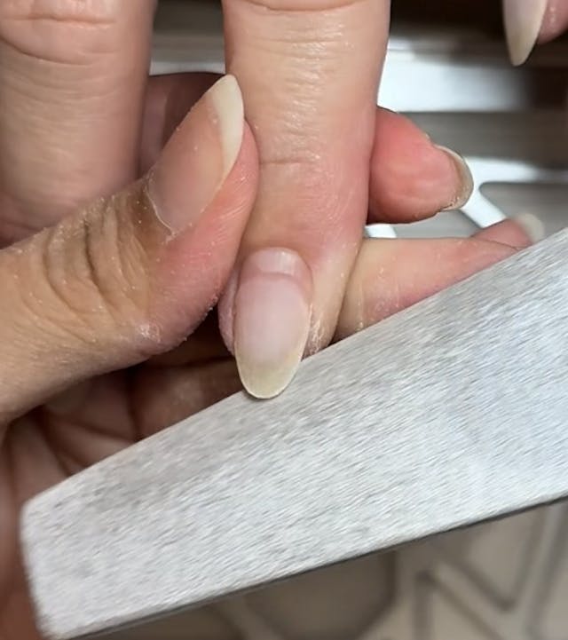 ファイリング・ケア動画