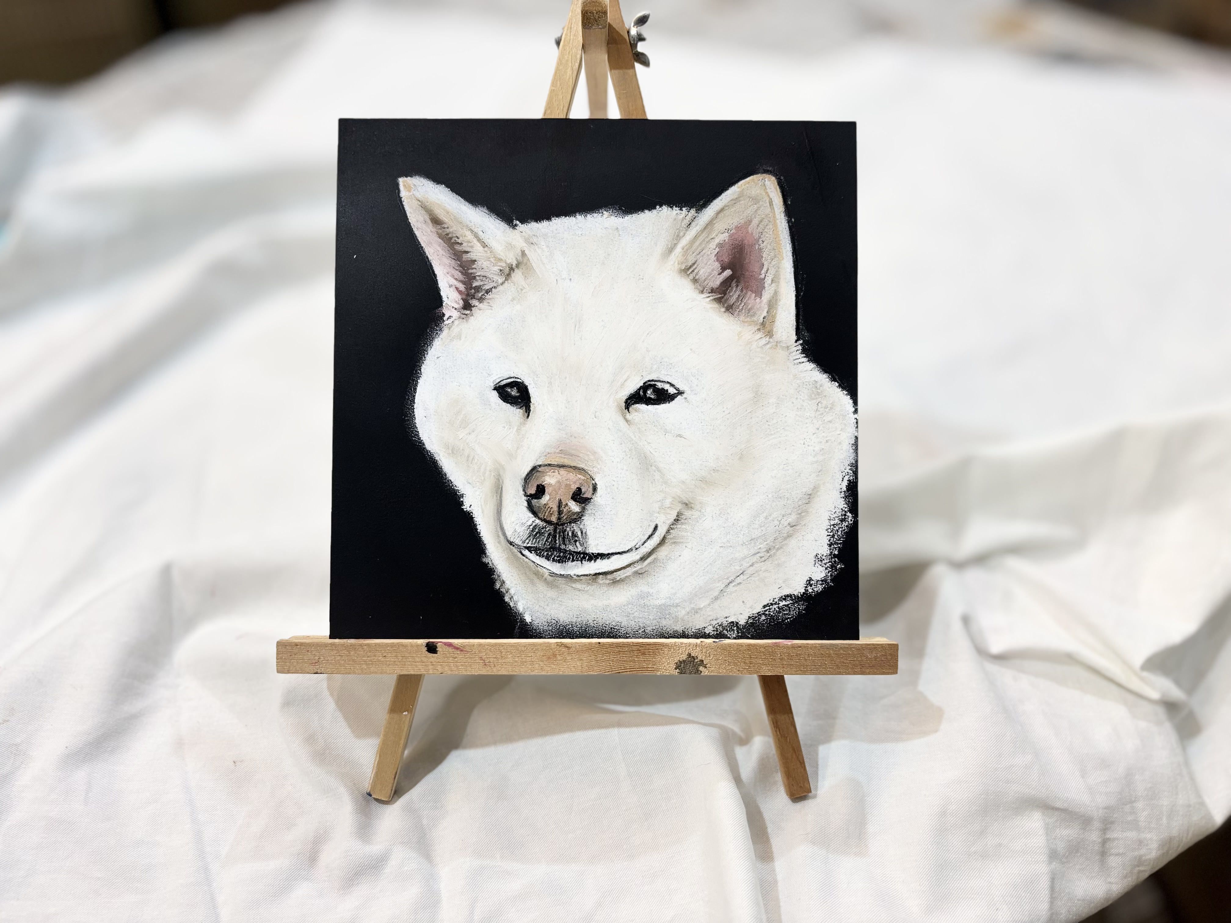 チョークアートでペットの似顔絵を描こう！【白柴編】