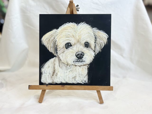 ペットの似顔絵を描こう！(ポメプー編)