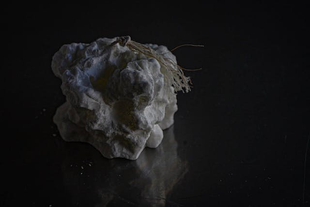 こんな方におすすめ