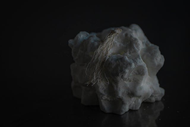 パームワックスの蝋燭の作り方（foundationコースLesson23）