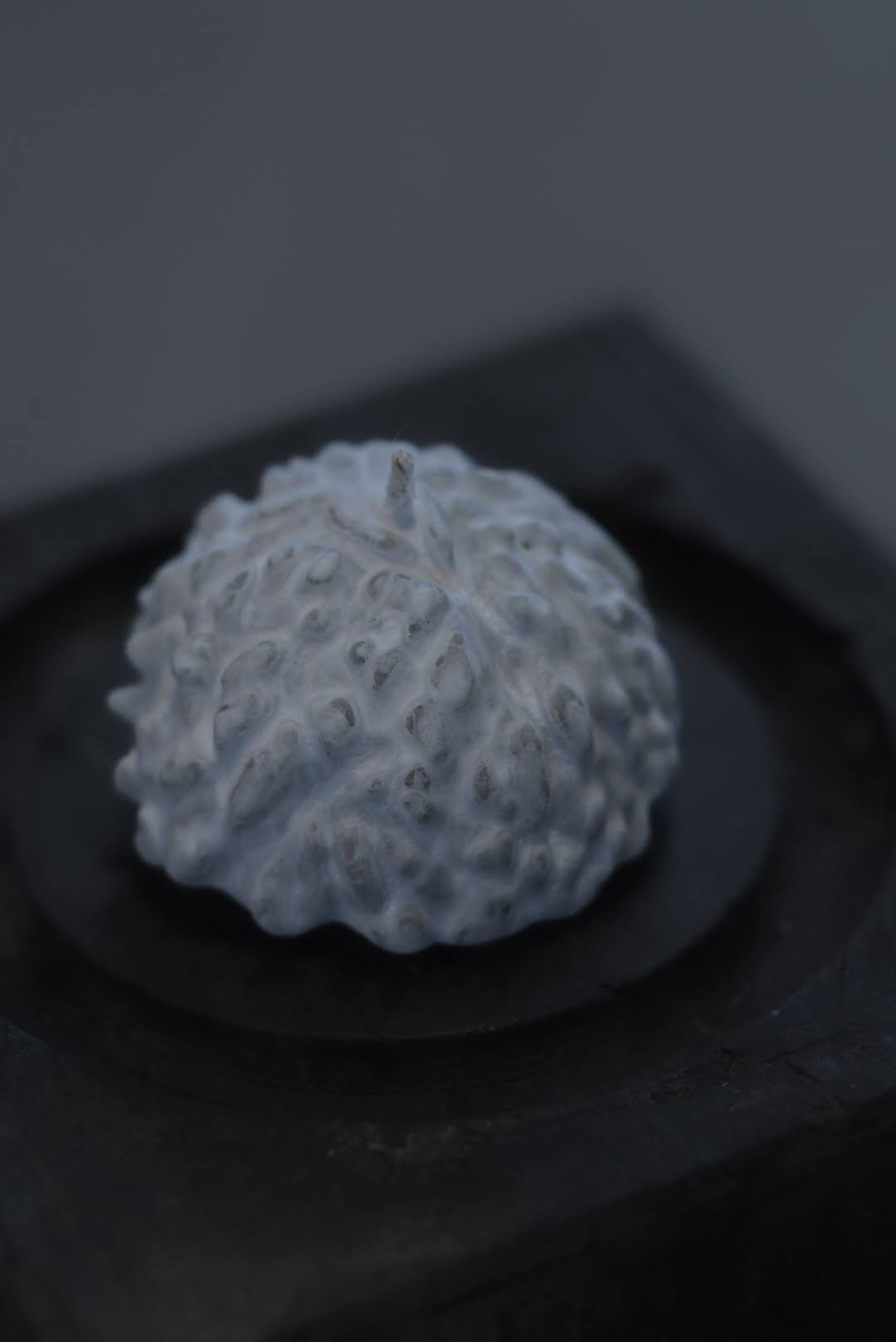 千菓子の作り方（foundationコースLesson24）