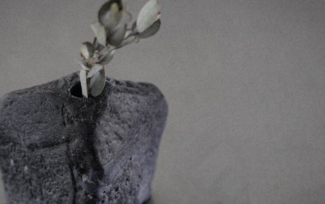 このレッスンについて