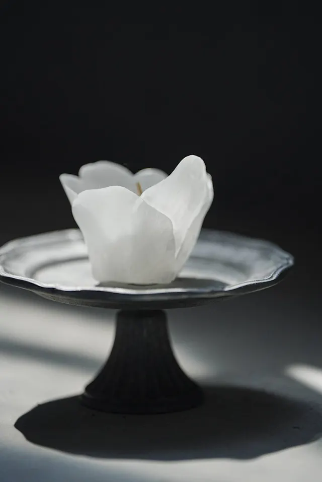 このレッスンについて