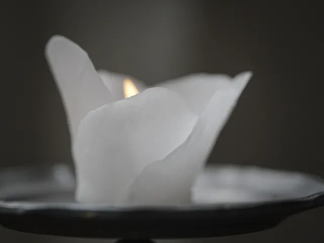 〈商用利用可・pdf付き〉雨の日に灯したい蝋燭【雨の日のために】