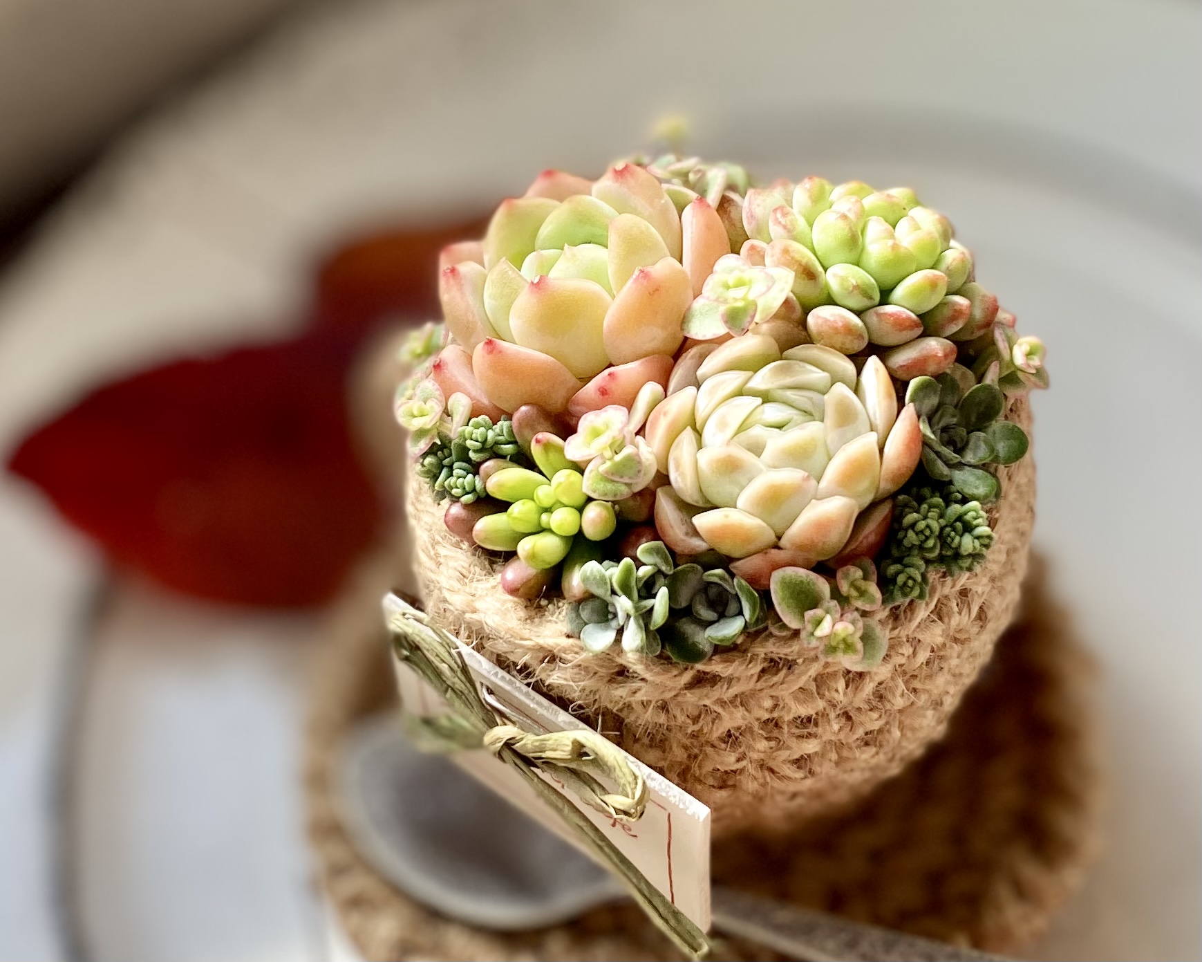 かぎ編み ハンドメイド 多肉植物の寄せ植え インテリア ナチュラル雑貨 1回完結レッスン】多肉寄せ植え・まるでデザートの様な麻紐カップ寄せ