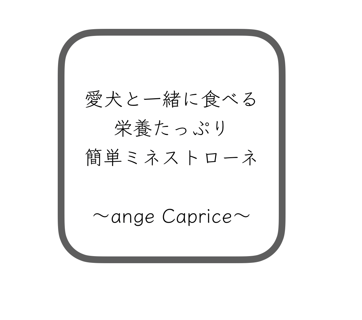 愛犬と一緒に食べる栄養たっぷり簡単ミネストローネの紹介画像3