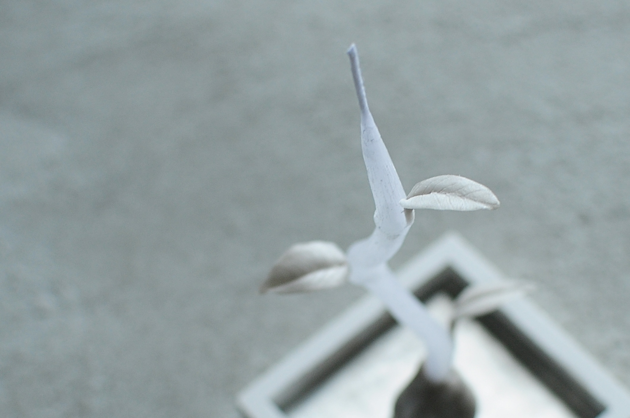 落葉燈の作り方の紹介画像2