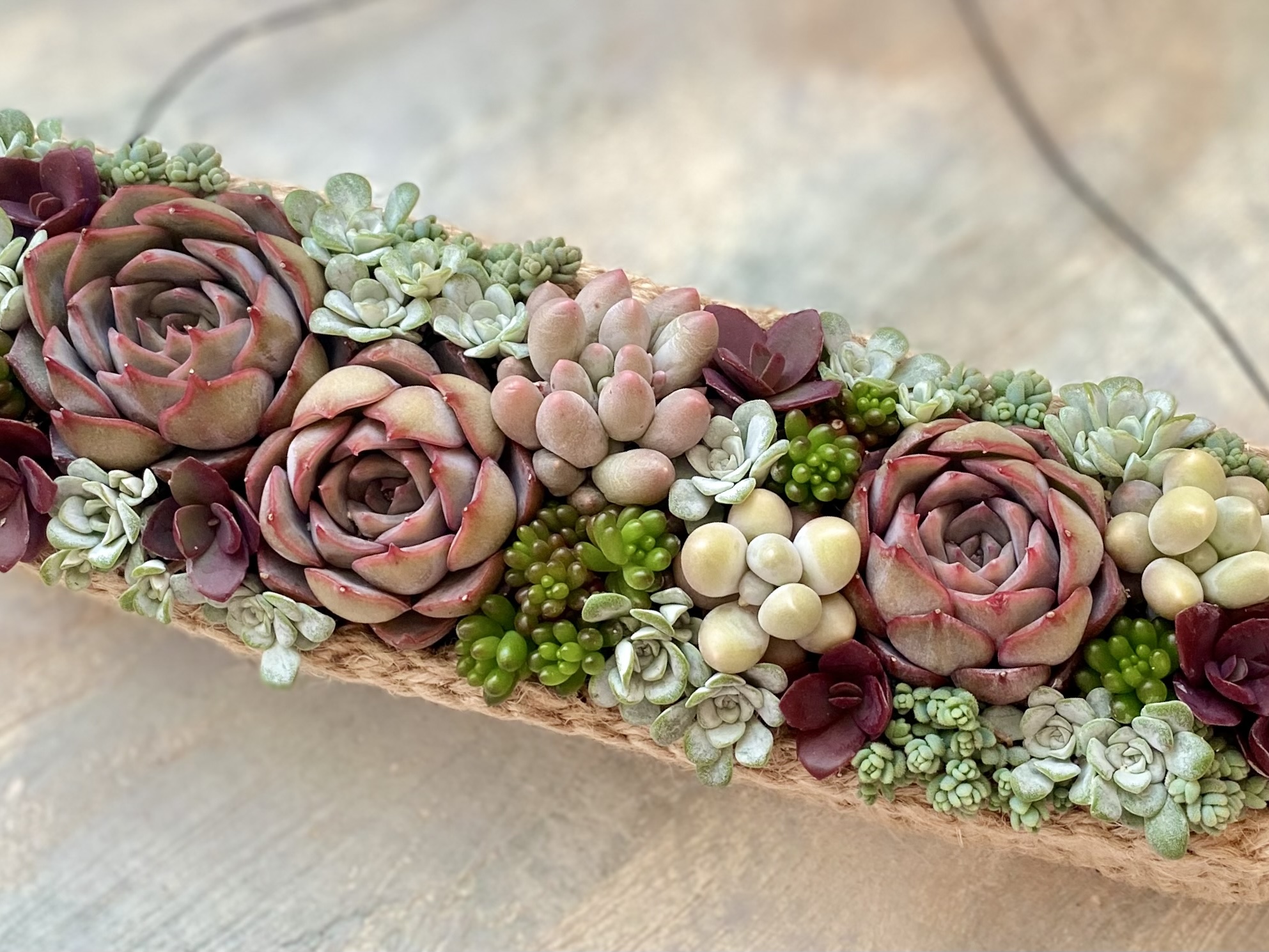 多肉寄せ植え・レクタングルの壁掛けの作り方の紹介画像1