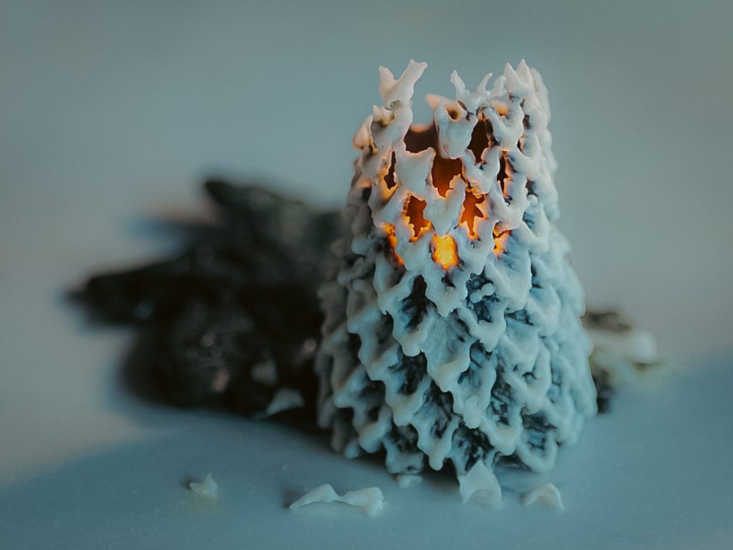 クリスマスシーズンのキャンドル作りに【冬の森】の紹介画像2