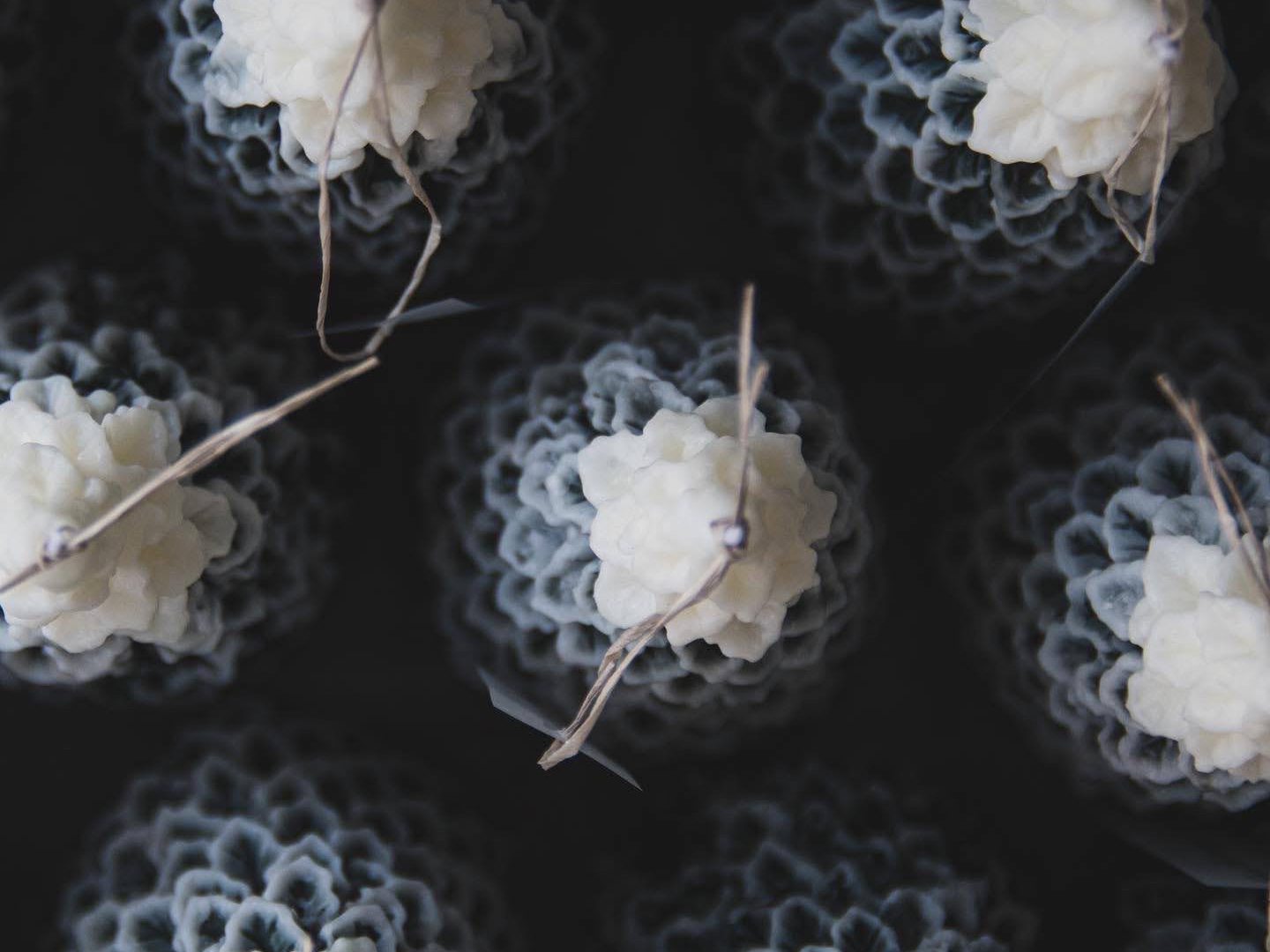 クリスマスシーズンのキャンドル作りに【冬の森】の紹介画像4