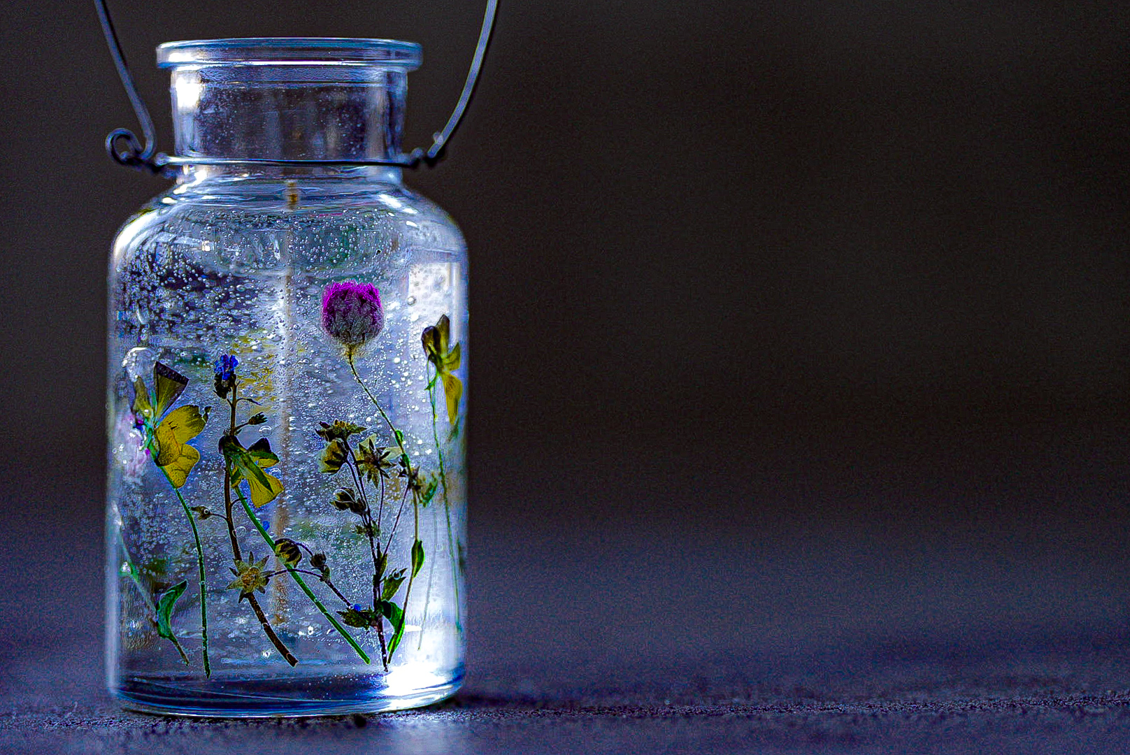 水に揺蕩う草原【ハンギングキャンドル】の紹介画像7