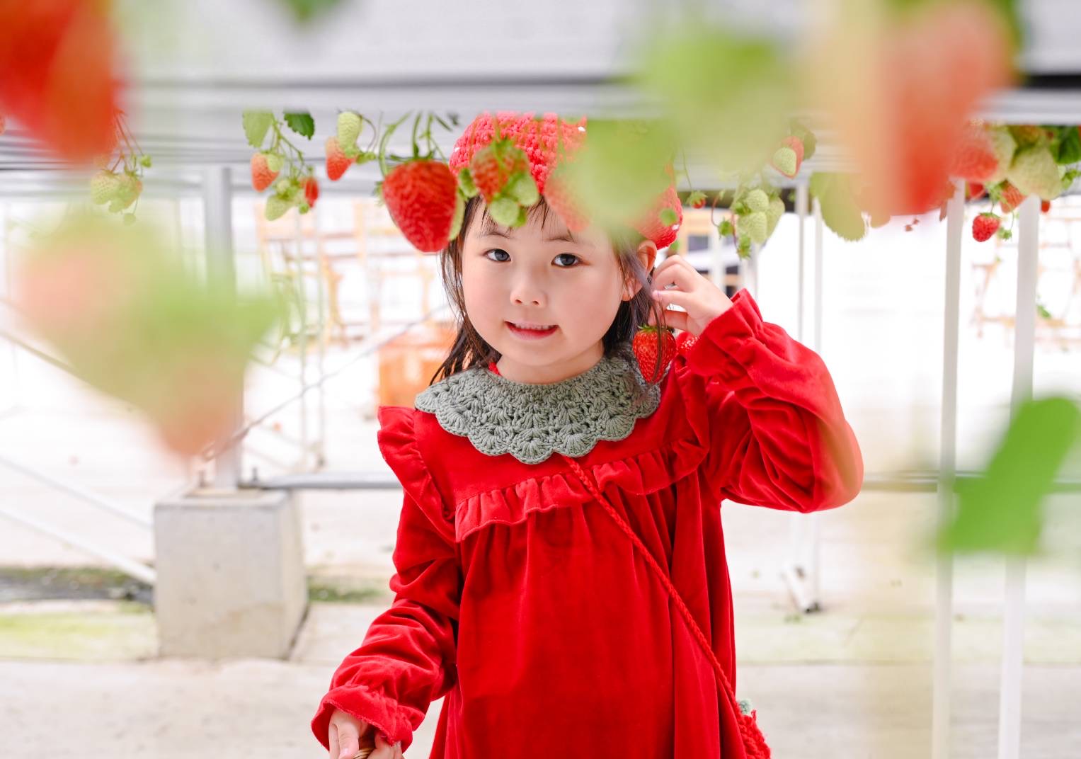 かぎ針で編むフラワーつけ襟スタイの編み方の紹介画像2