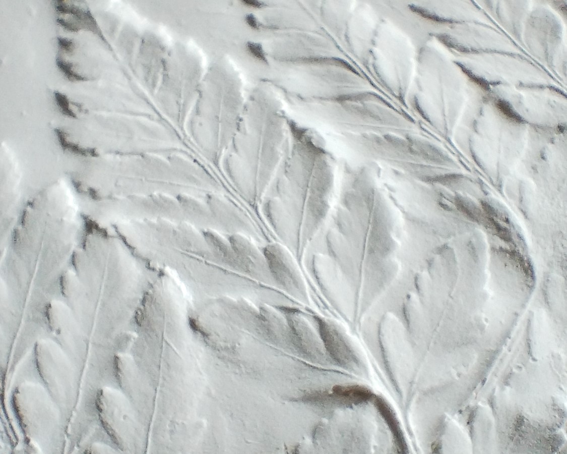 ボタニカルプラスター・シダの石膏レリーフの作り方の紹介画像1