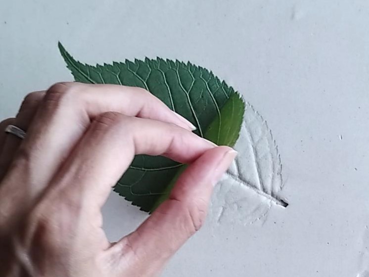 はじめてのボタニカルプラスター体験レッスンの紹介画像1