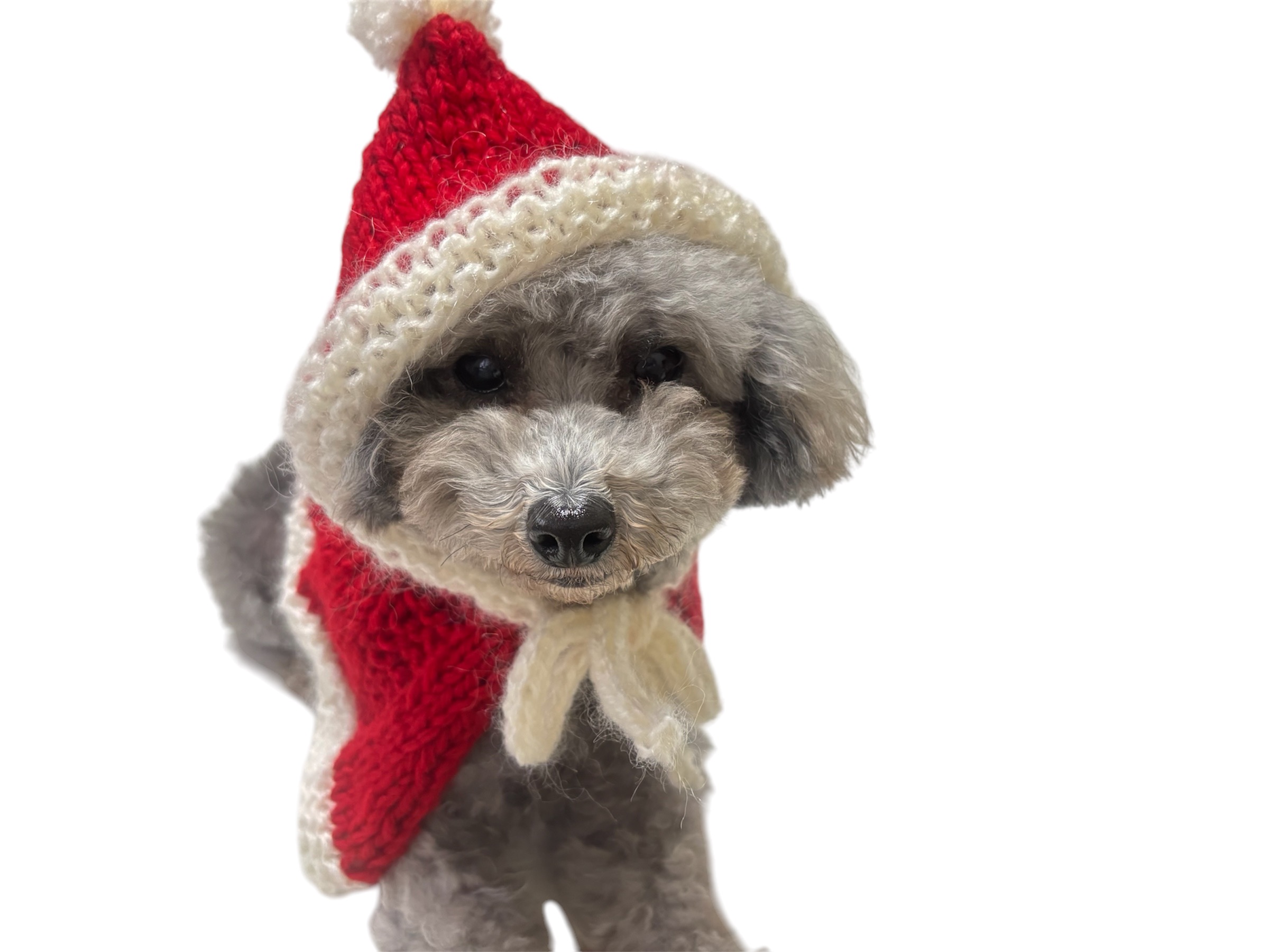 棒針で編む 愛犬のためのサンタケープの編み方【PDF付き】の紹介画像1