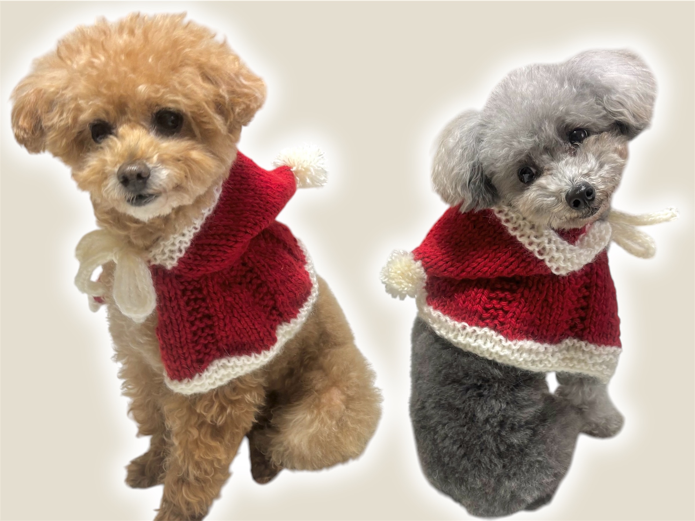 棒針で編む 愛犬のためのサンタケープの編み方【PDF付き】の紹介画像2