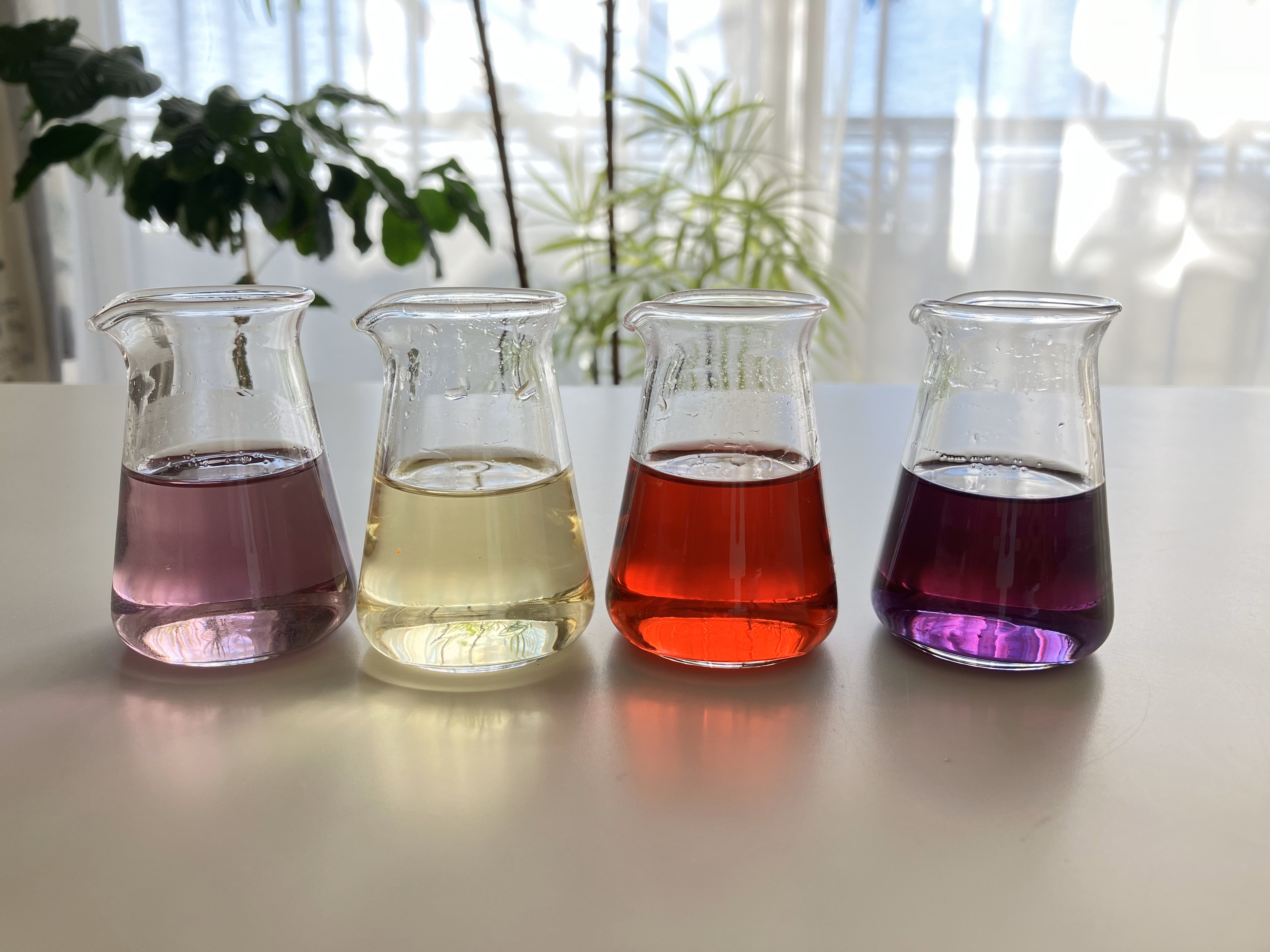 韓国花茶とフラワーハーブ／「花のシロップ」と「花茶フィズ」の作り方の紹介画像2