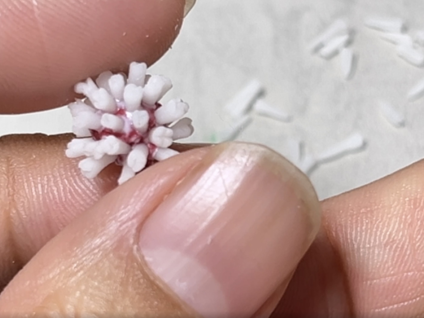 中級編14 紅稚児の作り方の紹介画像2