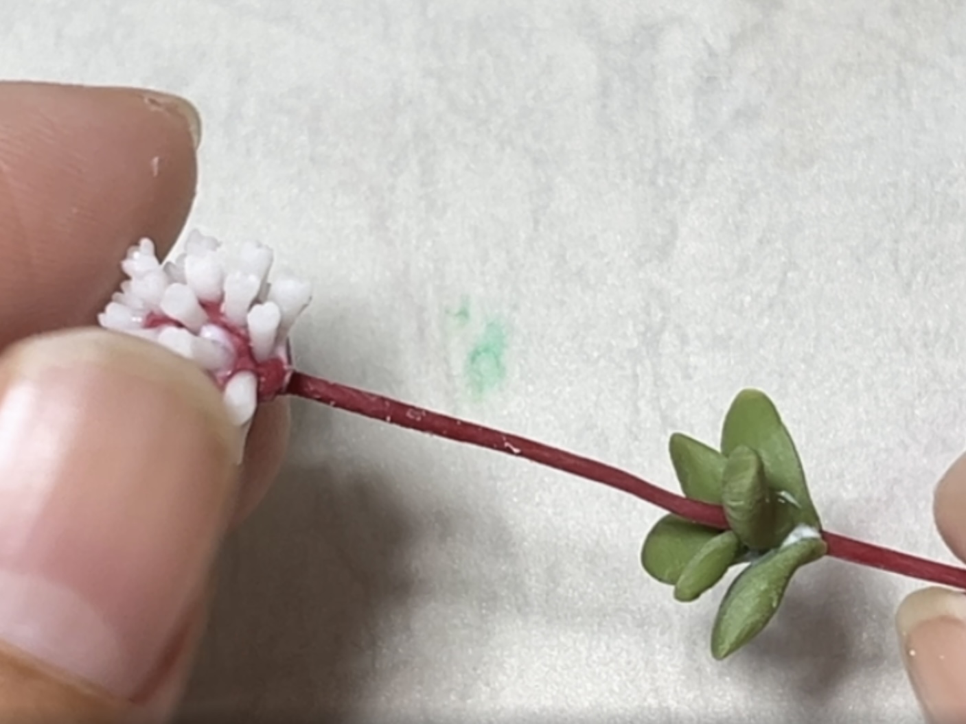 中級編14 紅稚児の作り方の紹介画像3