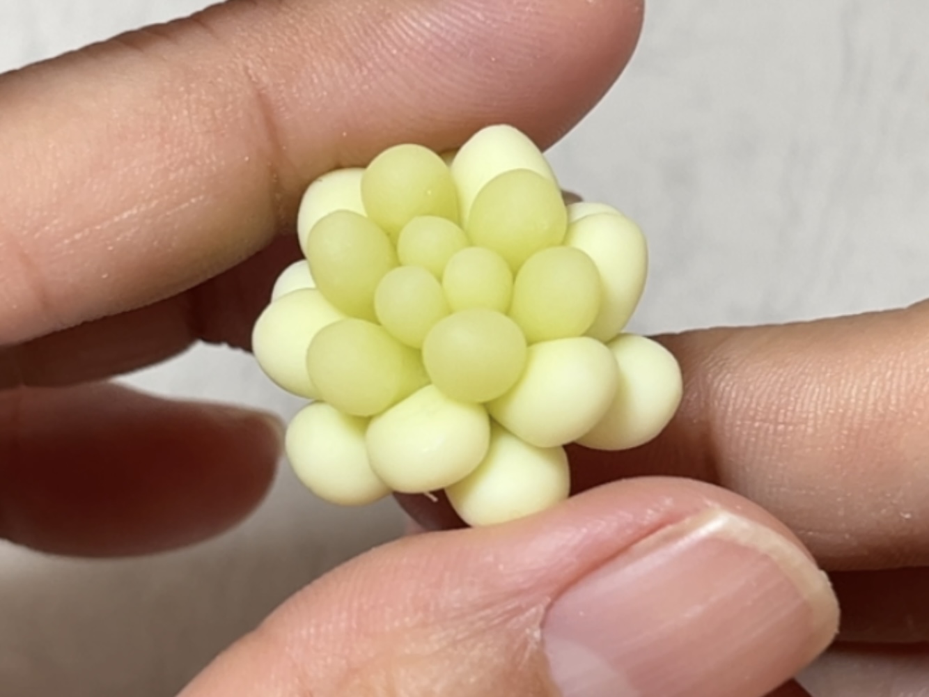 初級編16 キャビアの作り方の紹介画像3